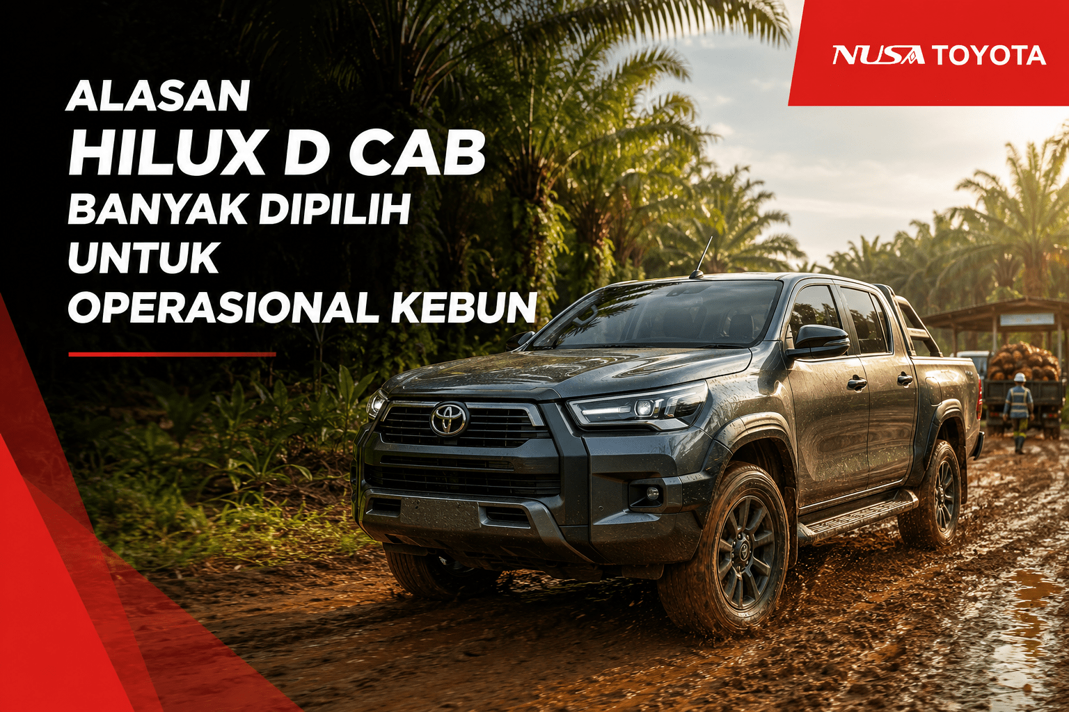 Alasan Hilux D Cab Banyak Dipilih untuk Operasional Kebun